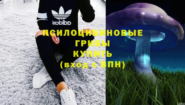 дурь Абаза