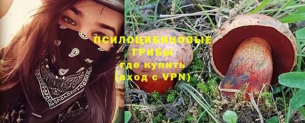 spice Елабуга