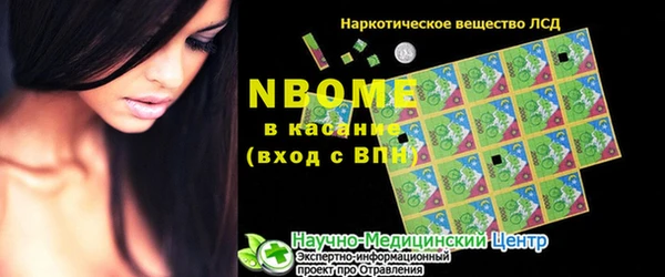 шишки Абинск
