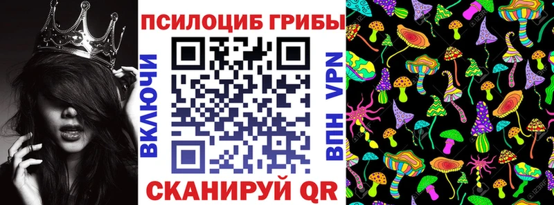 Псилоцибиновые грибы мицелий  хочу   Трубчевск 