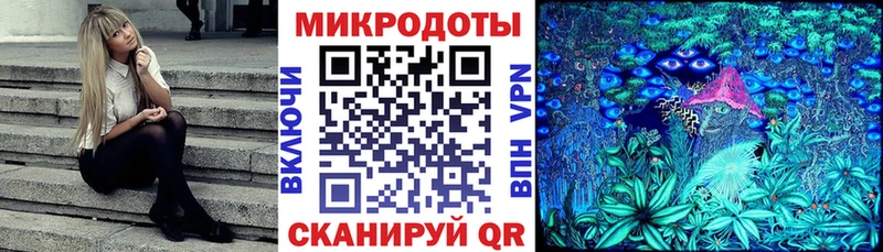 Псилоцибиновые грибы Cubensis Трубчевск